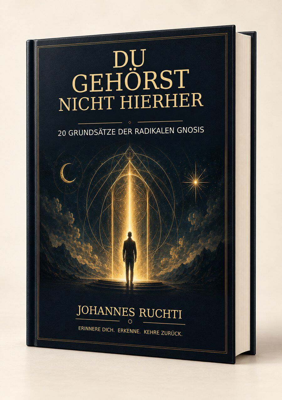 Du gehörst nicht hierher von Johannes Ruchti